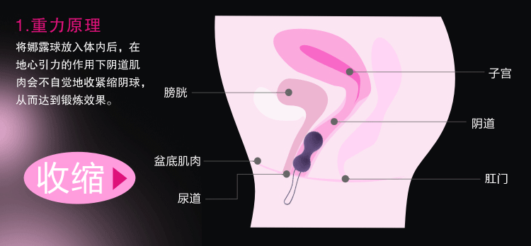 产品参数-美趣商城